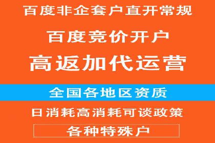 成功案例：信息流广告投放公司的创意与执行
